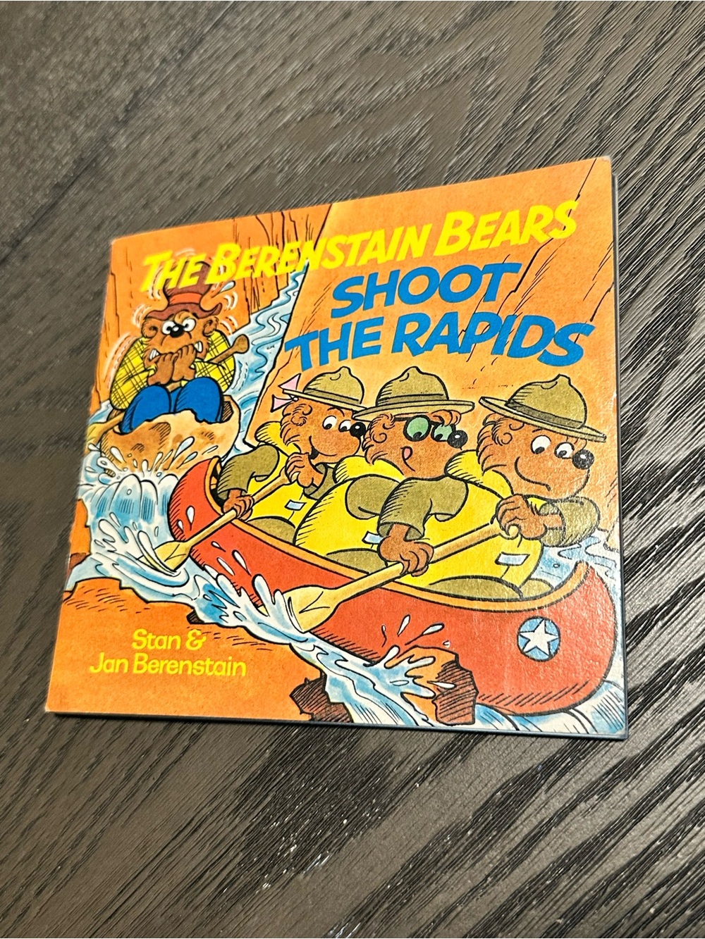 Vintage 1984 The Berenstain Bears Shoot the Rapids Mini Storybook Stan & Jan